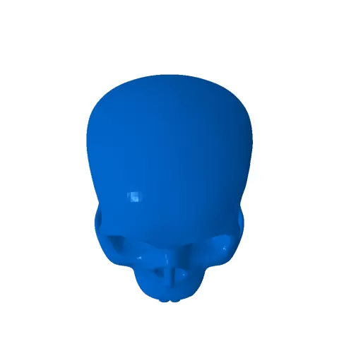 Mr Bones Skeleton - Tamtastic