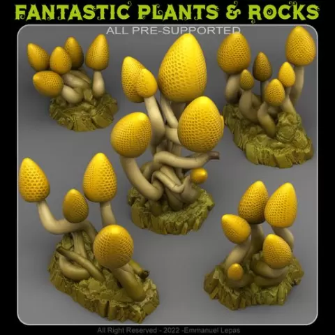 LEMONDROP MUSHROOMS
