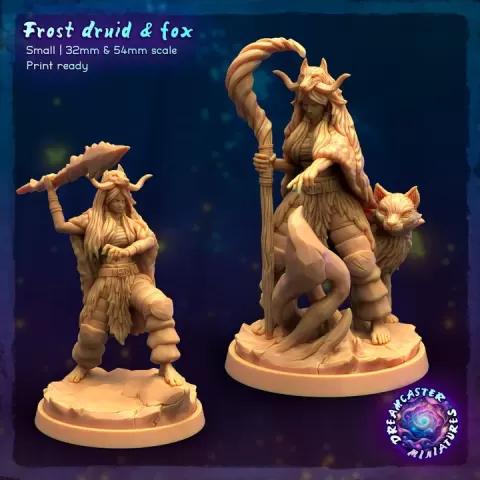 Frost druid by Dreamcaster