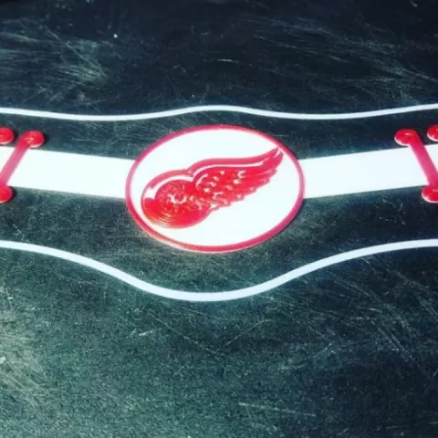 NHL Team Logo Ear Savers by Kyle