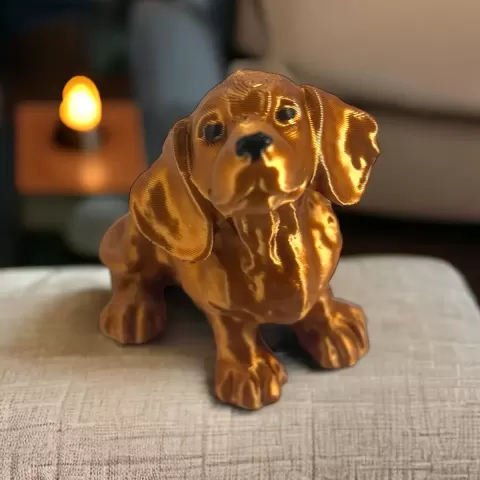 Teckel dog baby