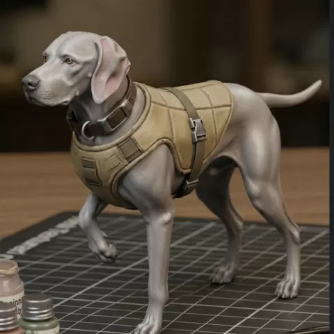 English Pointer