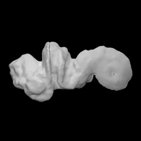 Gun Cock by Virtual Curation Lab