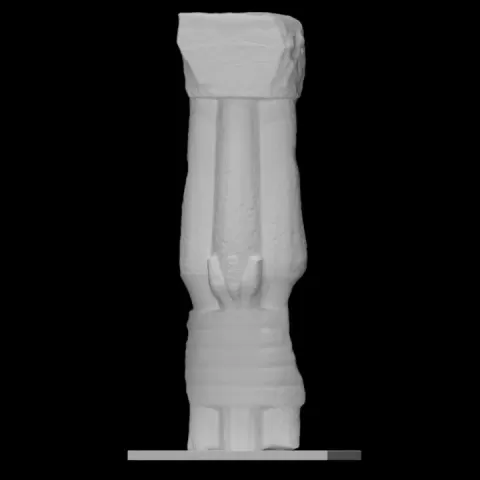 Column by Scan The World