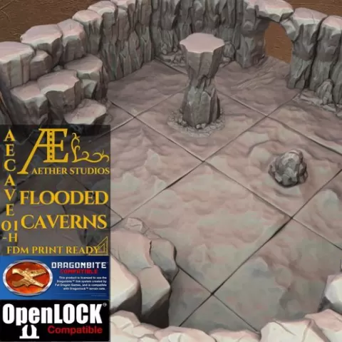 AECAVE01-H - Flooded Caverns