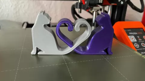 Cat Love