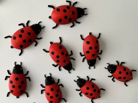 Ladybug/Ladybird Fridge Magnet/Key Ring V2
