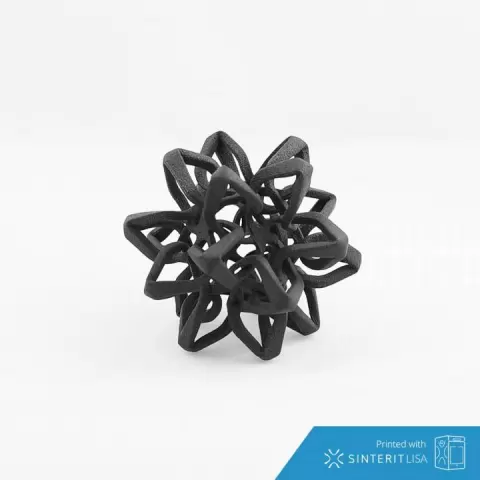 Interlocked Starfish Nest by Dan O'Connell