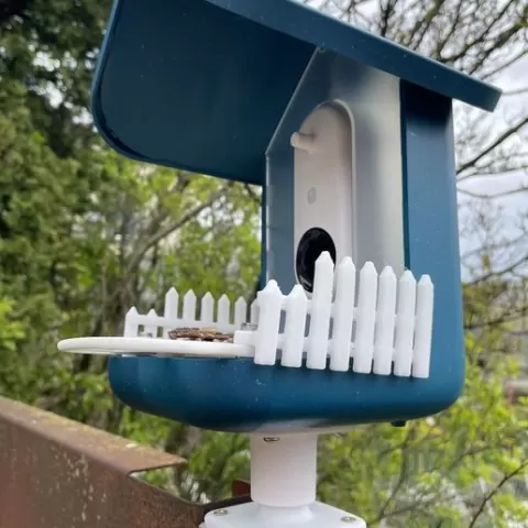 Bird Buddy Pole Mount