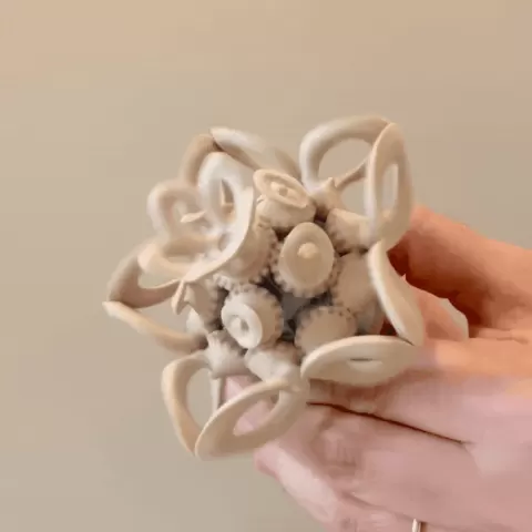 Loops Floramorph
