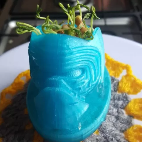 Kylo Ren Planter by Khaled Alkayed