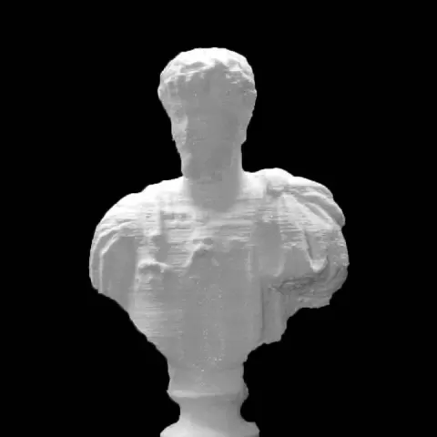 Portrait of Septimius Severus at The State Hermitage Museum, St Petersburg by Scan The World