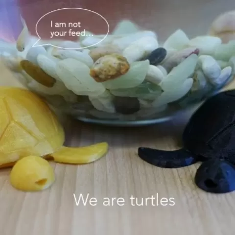 Turtle with moving legs by Da-eun Jun