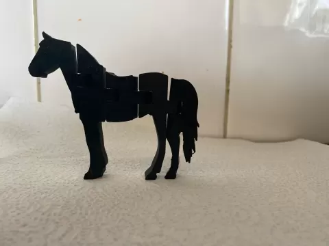 Flexi-Horse - BtecBakerByrne