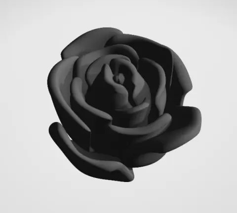 Rose - Klimmaster