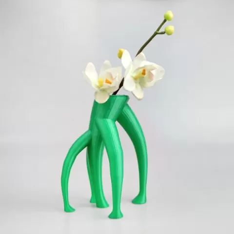 Water Vase by Raymond