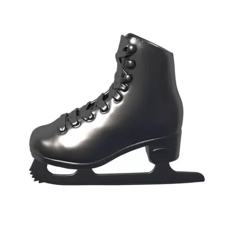 Ice Skates / Womens Skates Ice Skating Shoes / Ice skate shoes