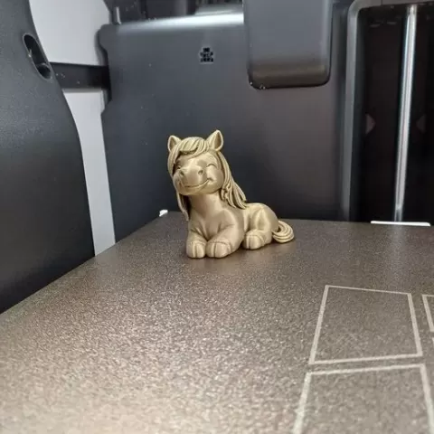 Cute Smiling Pony