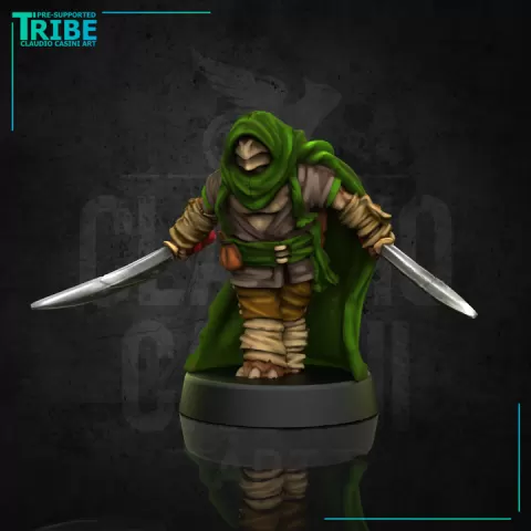 (0200 Colors) Male Turtle tortle folk Rogue Thief with two knives and cape by Claudio Casini Art