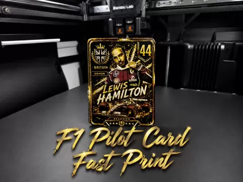 Ferrari F1 Team Lewis Hamilton & Charles Leclerc