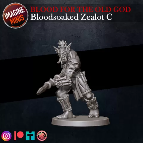 Blood For The Old God - Bloodsoaked Zealot C by Imagine Minis
