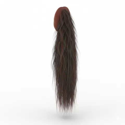 Horse tail relaxed down, horse, horses, equine, animal, wildlife, farm, ranch, riding, gallop, mane, tail, hooves, stallion