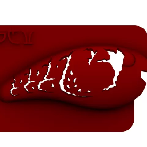 Lure Stencil - RK55 (Craw 9)