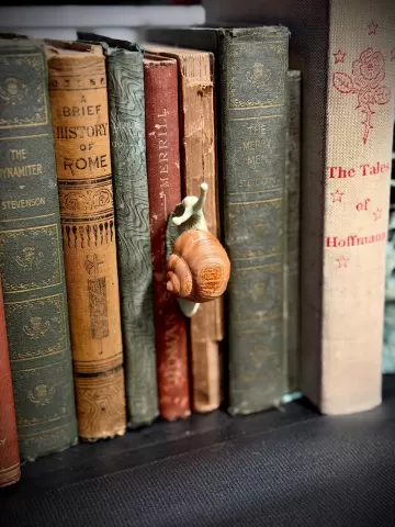 Snail spine hugger