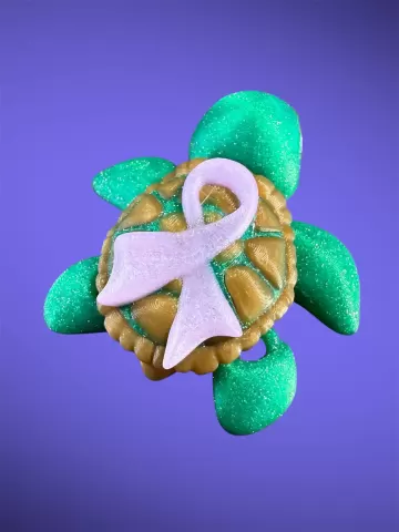 Valor the Awareness Ribbon Turtle
