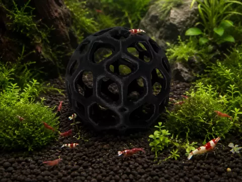 Mooskugel für Garnelen-Aquarien