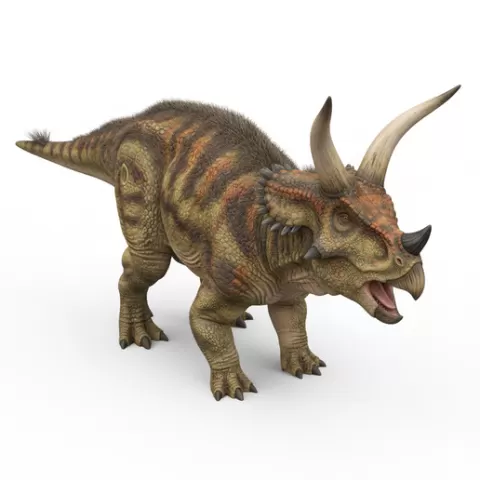 Diabloceratops aggressive head forward, dinosaur, dino, prehistoric, jurassic, fossil, reptile, creature, monster, fantasy, dragon, beast