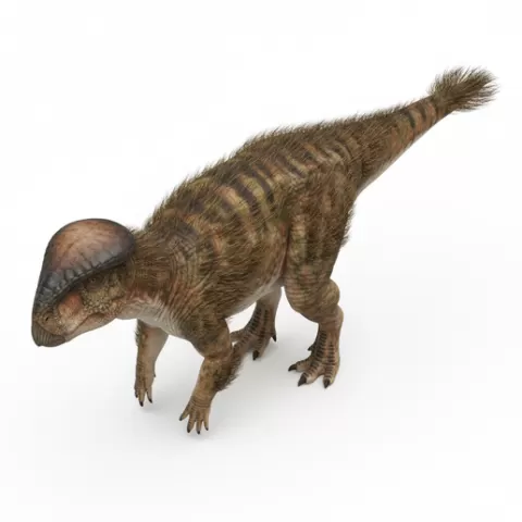 Prenocephale dome head posture, dinosaur, dino, prehistoric, jurassic, fossil, reptile, creature, monster, fantasy, dragon, beast
