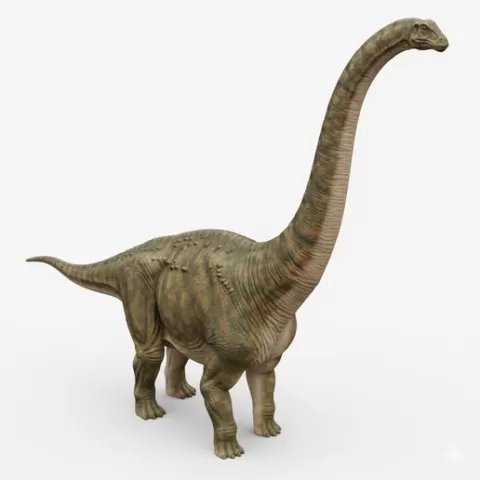 Mamenchisaurus long neck extended, dinosaur, dino, prehistoric, jurassic, fossil, reptile, creature, monster, fantasy, dragon, beast