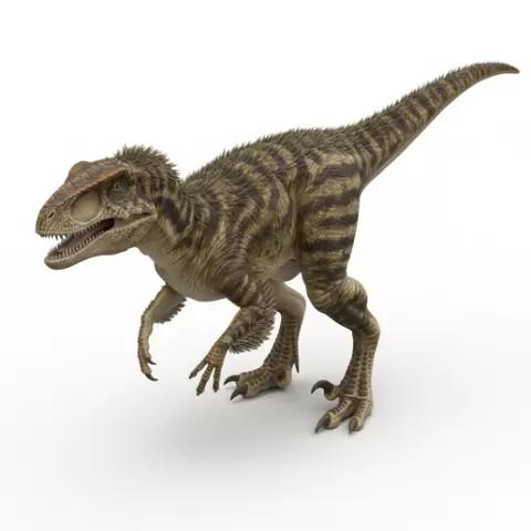 Fukuiraptor agile forward lean, dinosaur, dino, prehistoric, jurassic, fossil, reptile, creature, monster, fantasy, dragon, beast