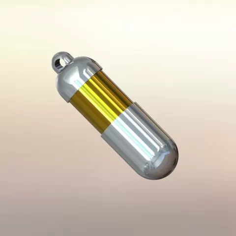 Takemi Pill Necklace Charm