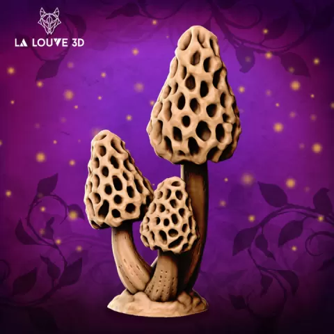 Morel by La Louve 3D
