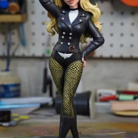 Black Canary - Pin-Up
