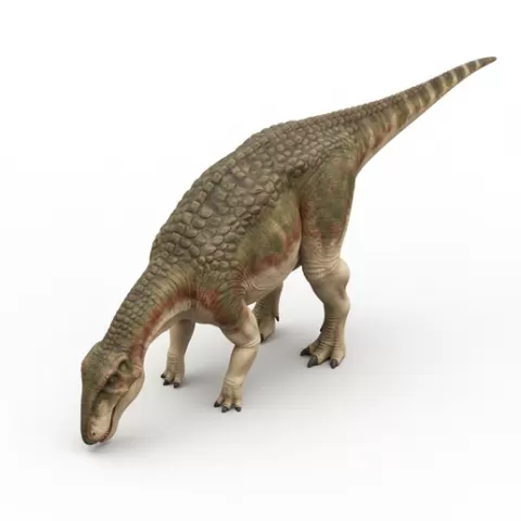 Edmontosaurus grazing posture, dinosaur, dino, prehistoric, jurassic, fossil, reptile, creature, monster, fantasy, dragon, beast