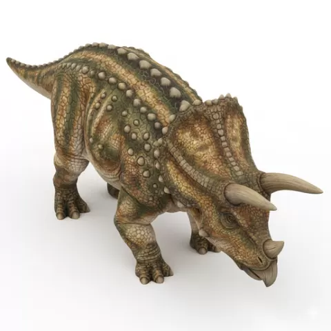 Triceratops head lowered charge stance, dinosaur, dino, prehistoric, jurassic, fossil, reptile, creature, monster, fantasy, dragon, beast