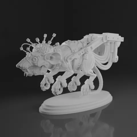Test rat 1