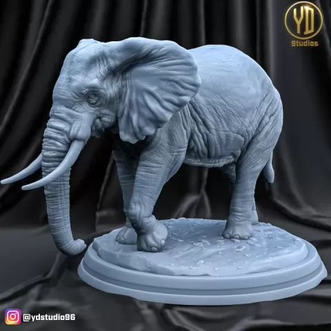 ELEPHANT by YD STUDIO