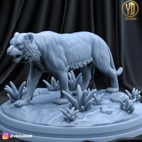 TIGER by YD STUDIO