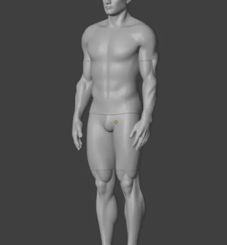 Standing Muscular Athlete