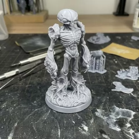 Flesh Alien: DND Miniture Monster