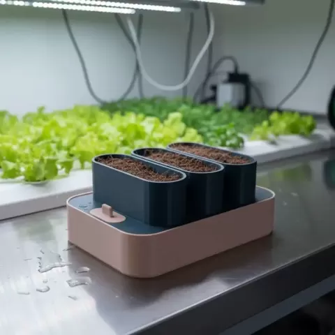 Hydroponic Setup - Plant 3D