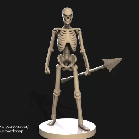 Skeleton by WarehouseWorkshop