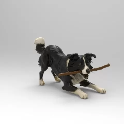 Border Collie Playing Dog 1/32 Scale – Stick in Mouth Herding Dog Figure for Dioramas