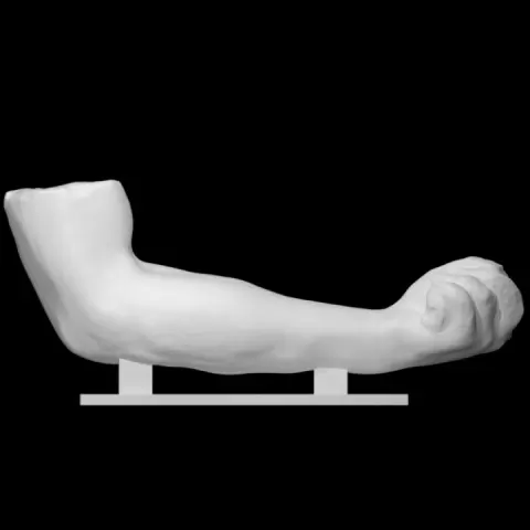 Colossal arm of a statue of Zeus by Scan The World