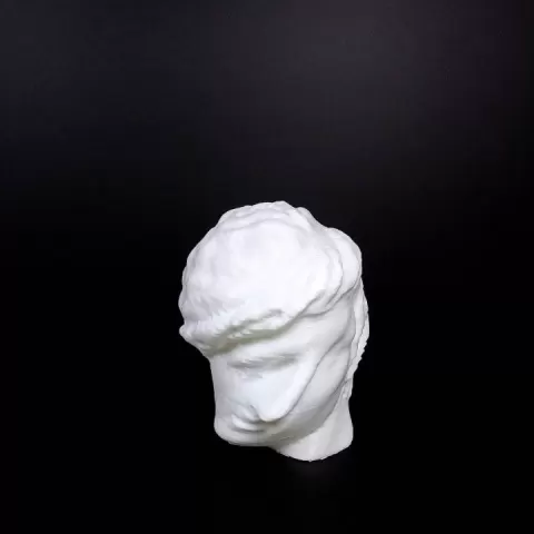 cambridge-head-of-demetrios-polio filtered by yousef abdulaal