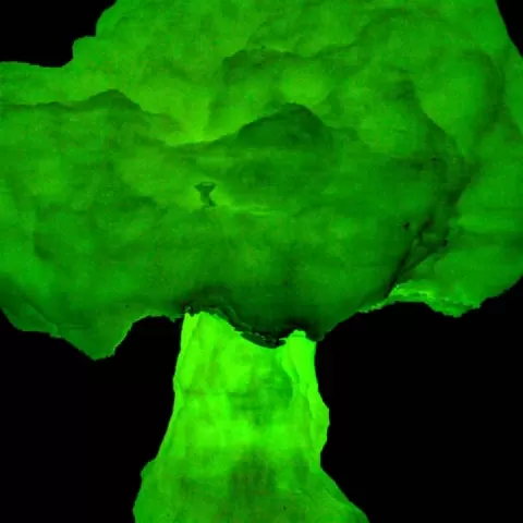 Radioactive Cauliflower by Whitney Potter